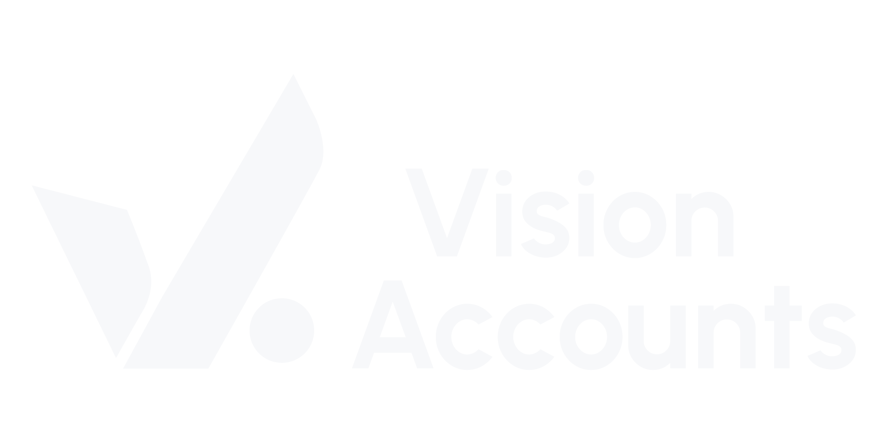 Vision Accounts